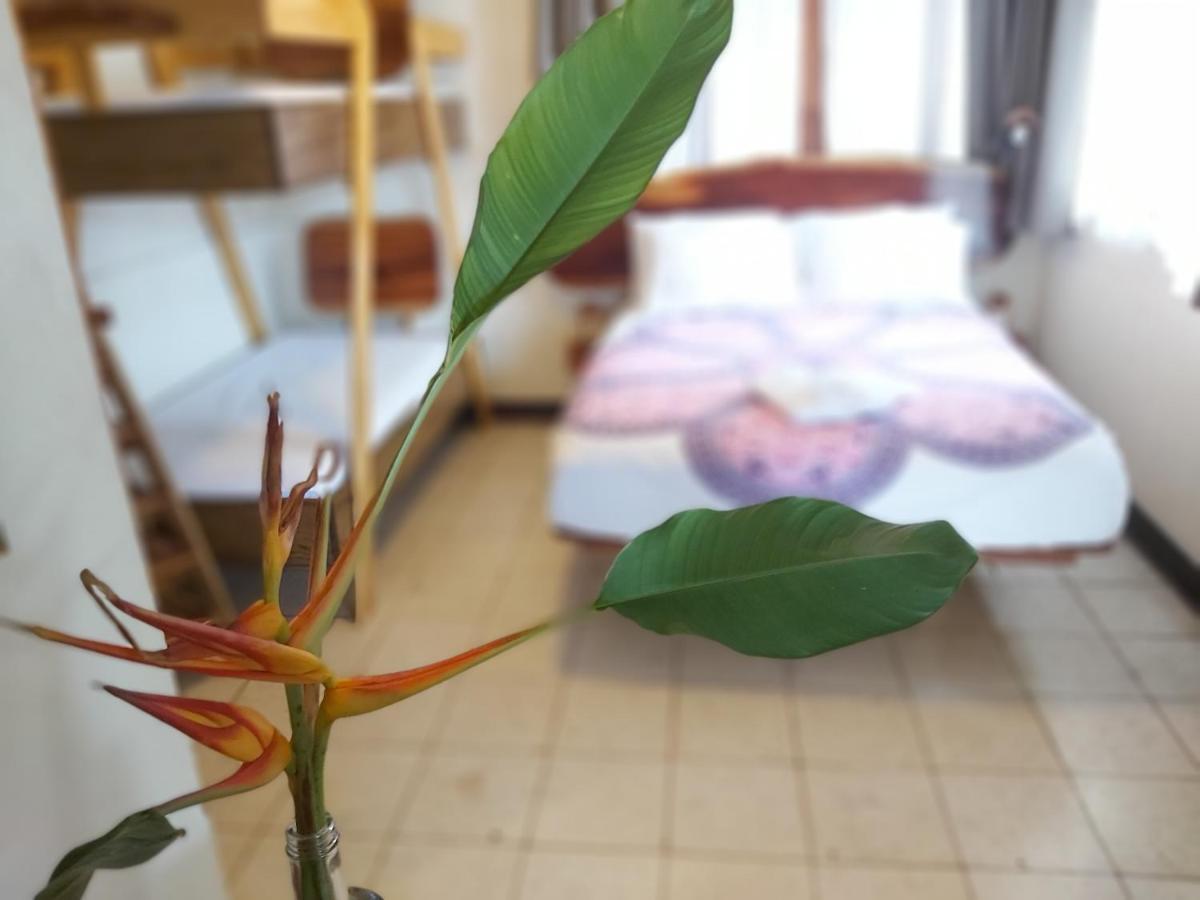מלון מנאגווה Casa Benjamin Linder מראה חיצוני תמונה