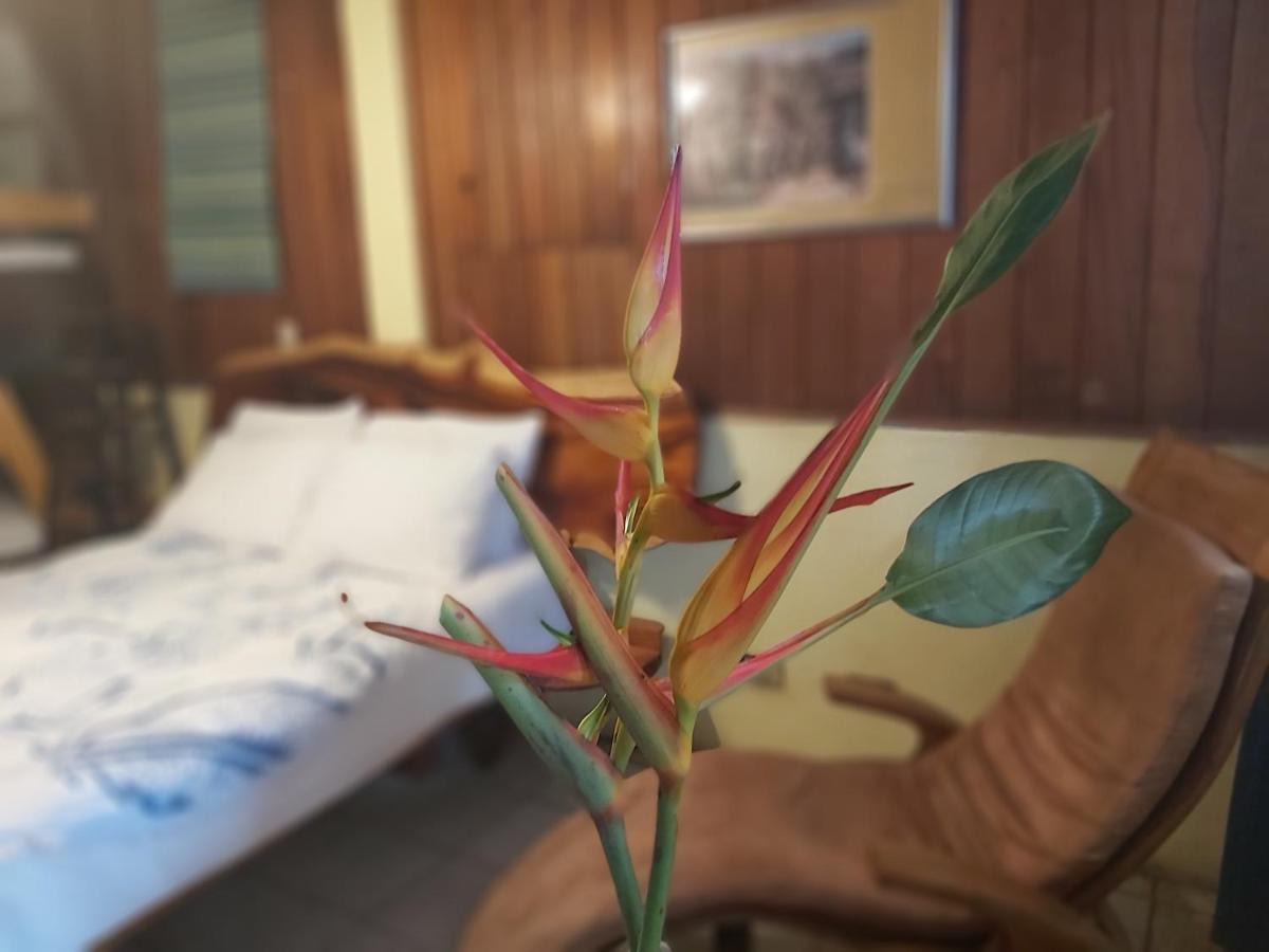 מלון מנאגווה Casa Benjamin Linder מראה חיצוני תמונה